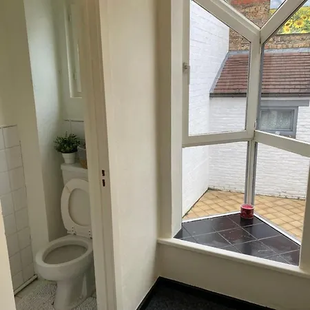 Large 3 Bedroom House With Terrace In The Center Of Bruges *